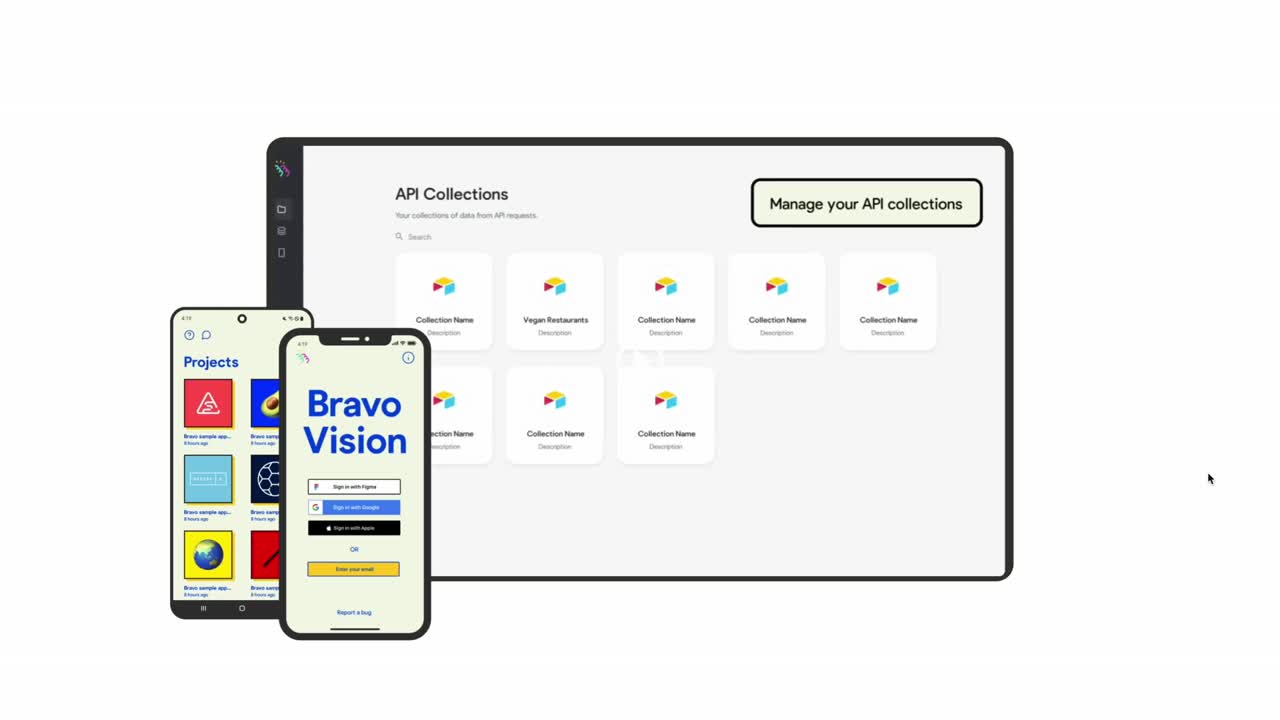 Bravo Vision
